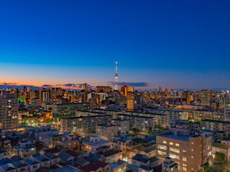 ライオンズタワー大島