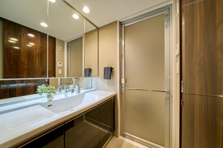 シティタワーズ東京ベイ　セントラルタワー-9-洗面