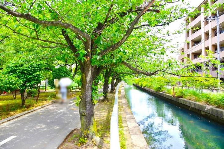 スカイシティ南砂-36-公園