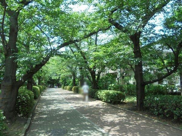 南砂住宅２号棟-28-公園