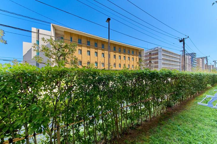 木場サニータウン-5-眺望