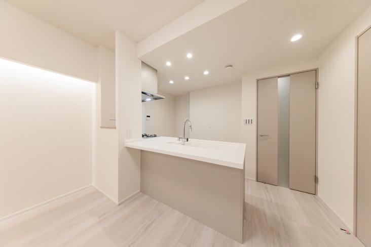 アイ・キャナルメイツ豊洲-9-キッチン