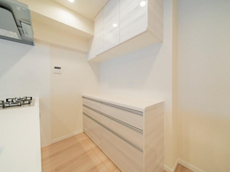 なぎさニュータウン　７号棟-11-収納