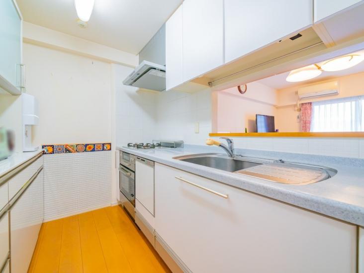 ルネプライディア-5-キッチン