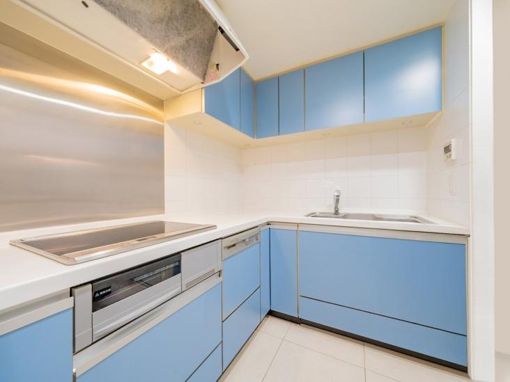 クラリティ・アスール-9-その他