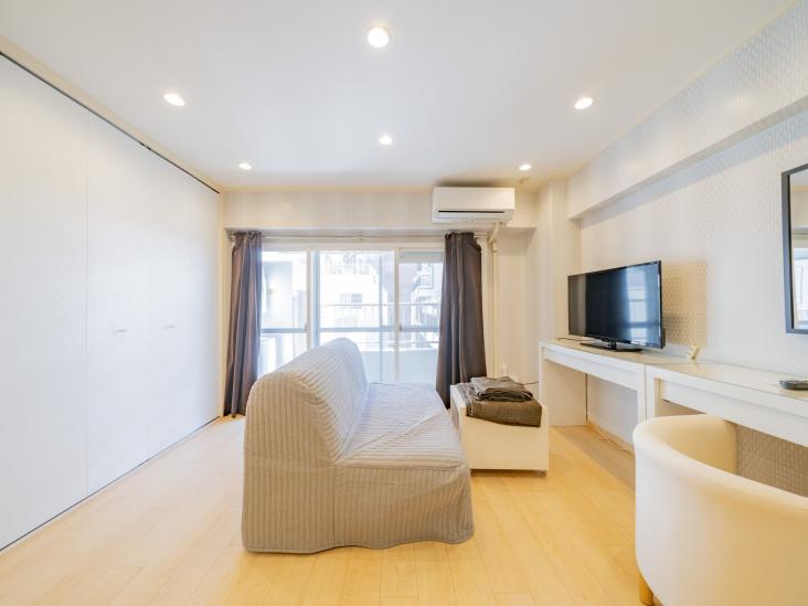 トーア新富マンション-8-リビング