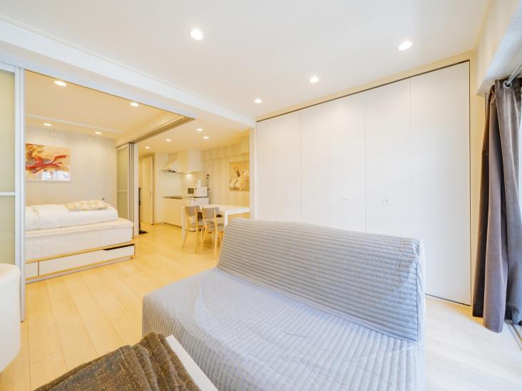 トーア新富マンション-15-リビング