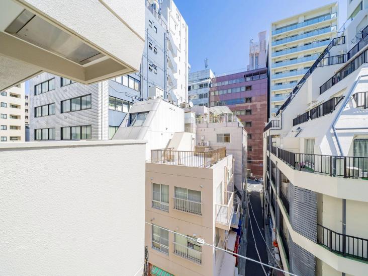 トーア新富マンション-32-眺望