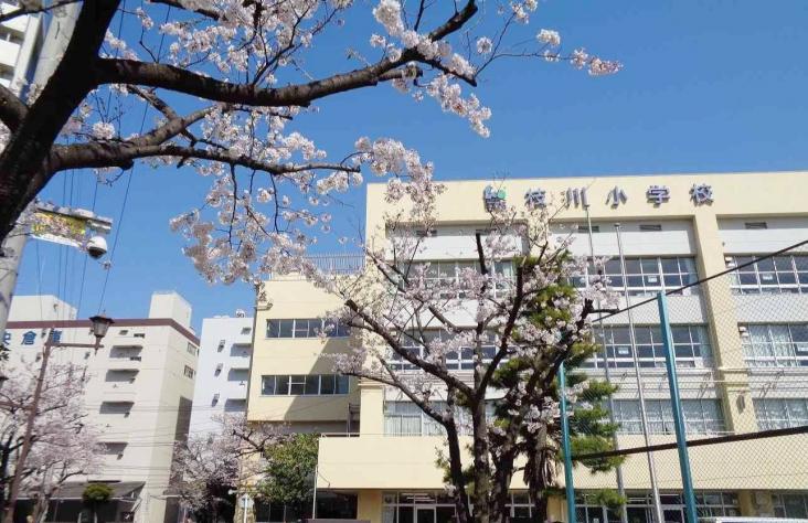 ライオンズマンション豊洲-27-小学校