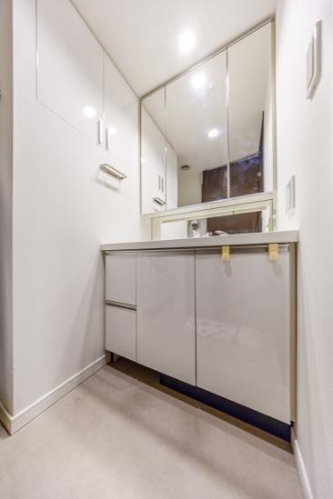 ザ　湾岸タワーレックスガーデン-15-洗面