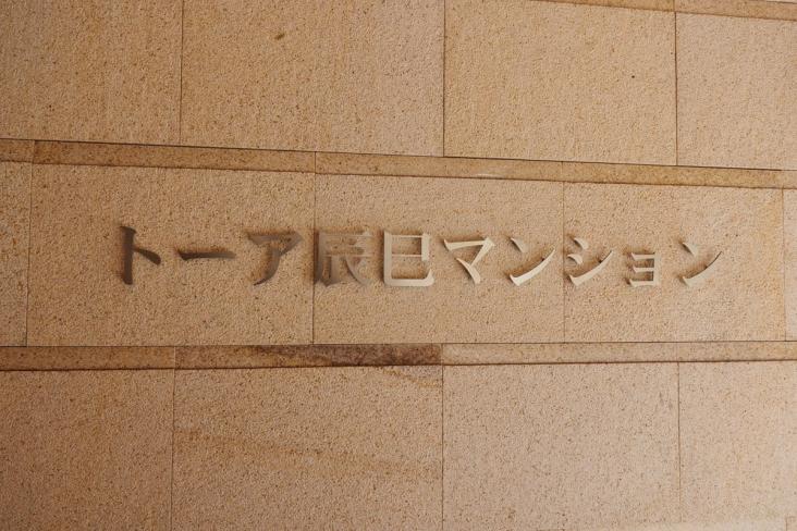 トーア辰巳マンション-15-その他現地