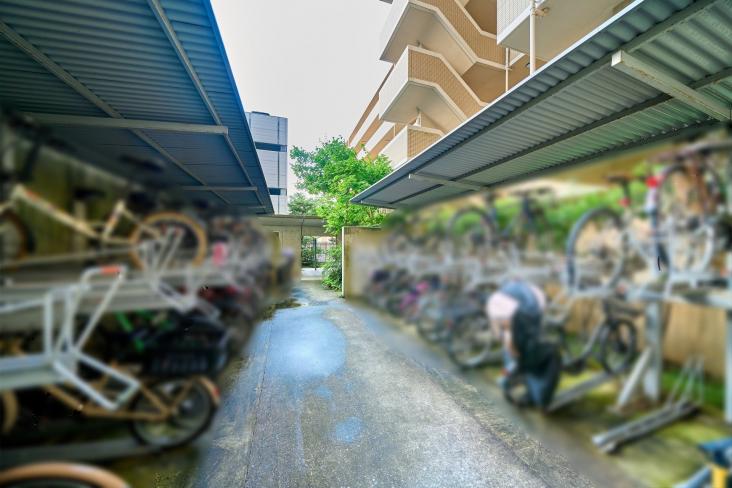 ニューライズシティ東京ベイハイライズ-16-共有部分