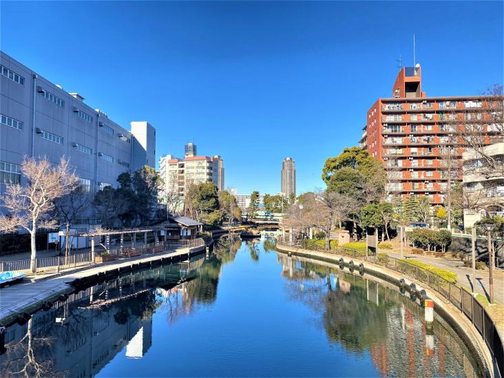 東陽町スカイハイツ-29-公園