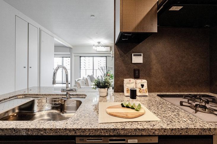 バウス目白御留山-7-キッチン