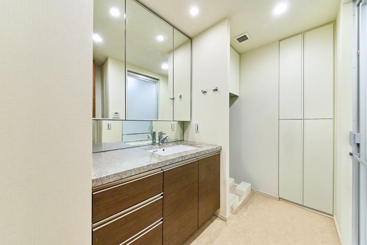 ザ・パークハウス西新宿タワー60-7-洗面