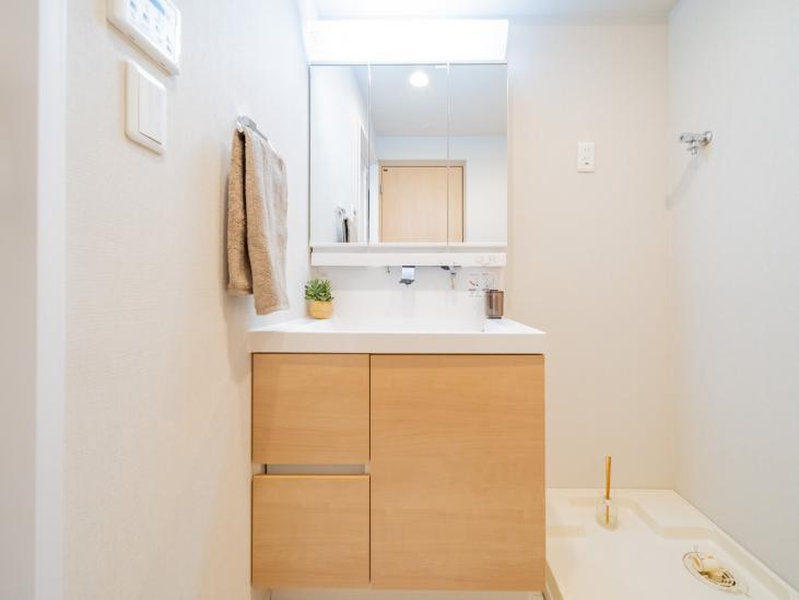 プチモンド目白-10-洗面