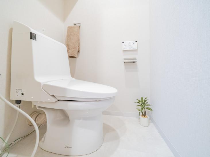 プチモンド目白-11-トイレ