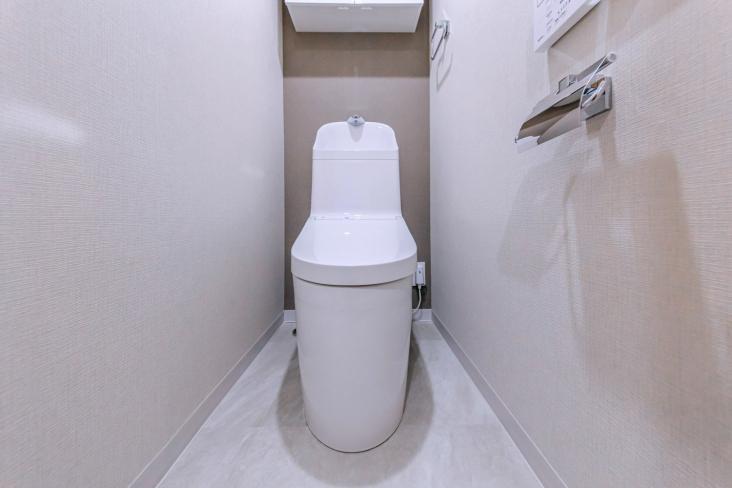 セザール第2中野富士見町-11-トイレ