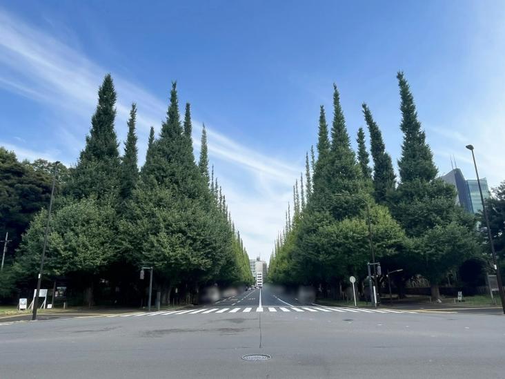 ライオンズ外苑の杜-36-レジャー観光