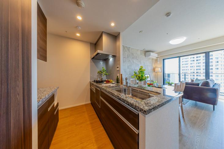 シティタワー新宿-15-キッチン