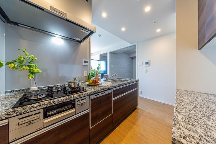 シティタワー新宿-16-キッチン