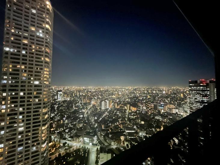 シティタワー新宿-29-眺望
