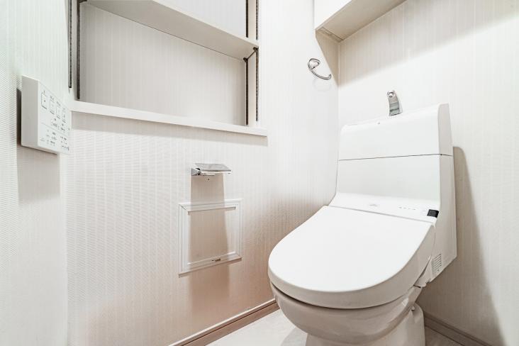 フィールA飯田橋-7-トイレ