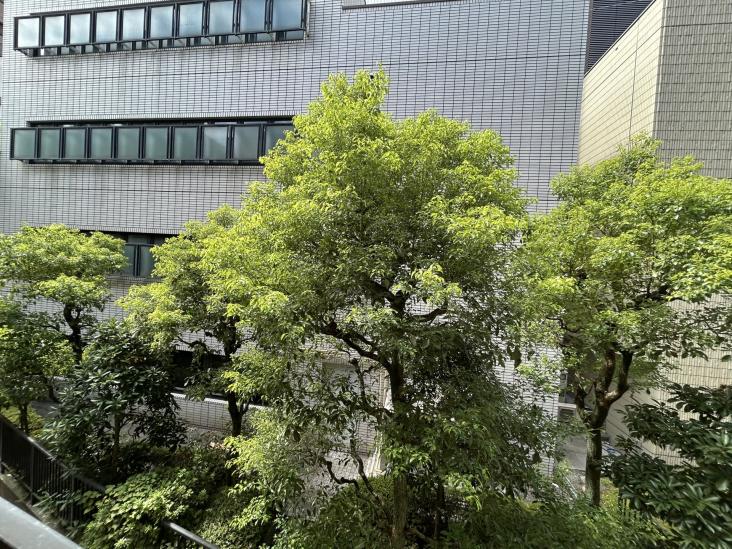 大塚一丁目　中古戸建-10-眺望