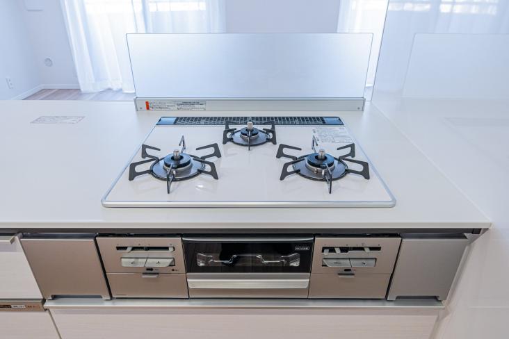 ライオンズガーデンヒルズ白山-22-キッチン