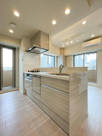 ディオレ西新宿-5-キッチン