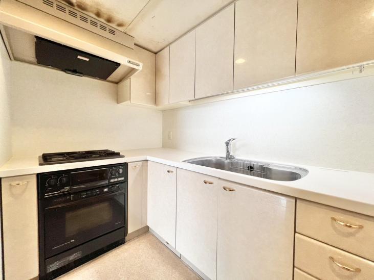パークシティ杉並 セントラルタワー-14-キッチン