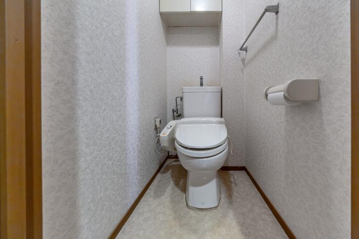 メゾンエクレーレ新宿西戸山-11-トイレ