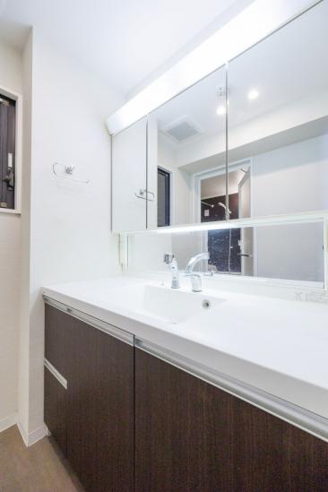 パークビュー狛江-8-洗面