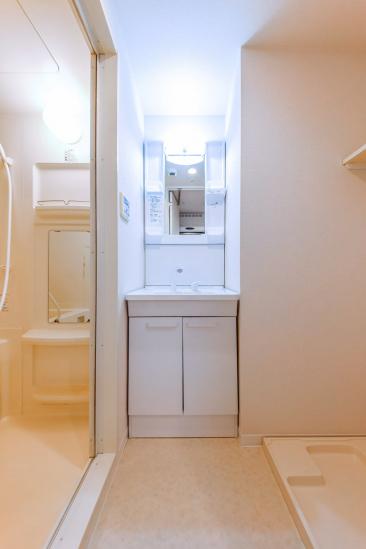 ドルチェ東新宿-25-洗面