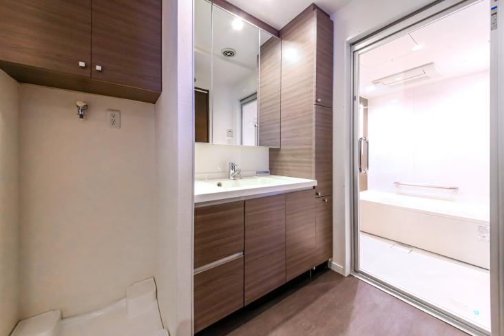 アージュ薬王寺-8-洗面