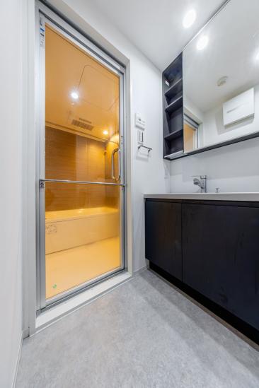 シーフォルム高田馬場Ⅱ-11-洗面