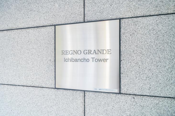 レグノ・グランデ一番町タワー-15-その他現地