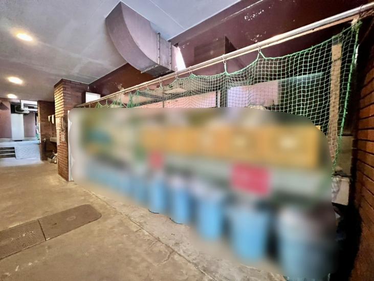 ダイアパレス二番町-10-その他現地