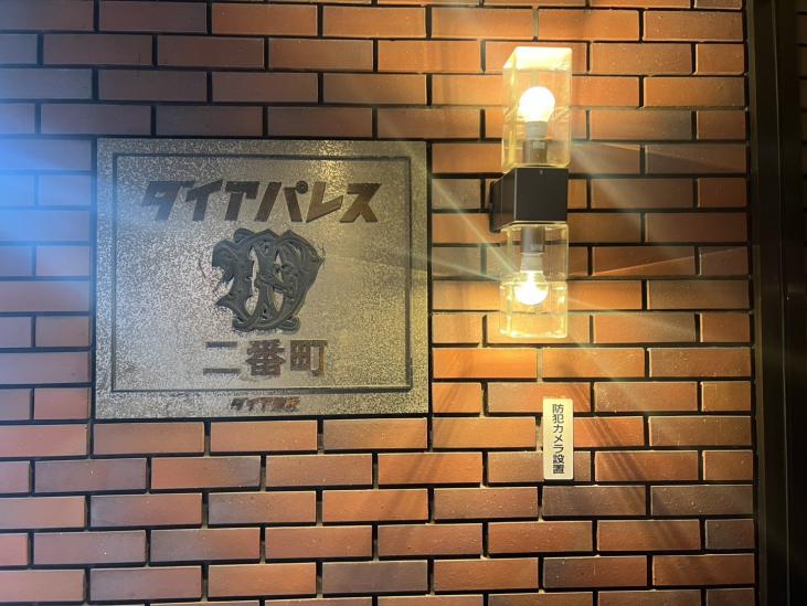 ダイアパレス二番町-12-その他現地