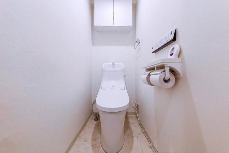 成城学園サマリヤマンション-8-トイレ