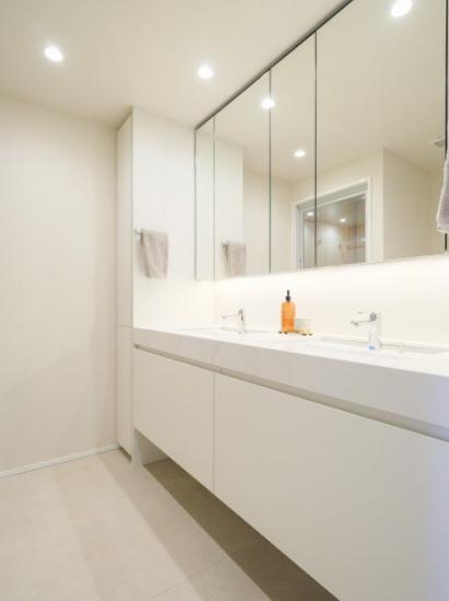 フォルム内藤町-11-洗面