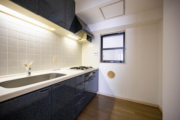 エクセルシオール新宿西戸山-15-キッチン