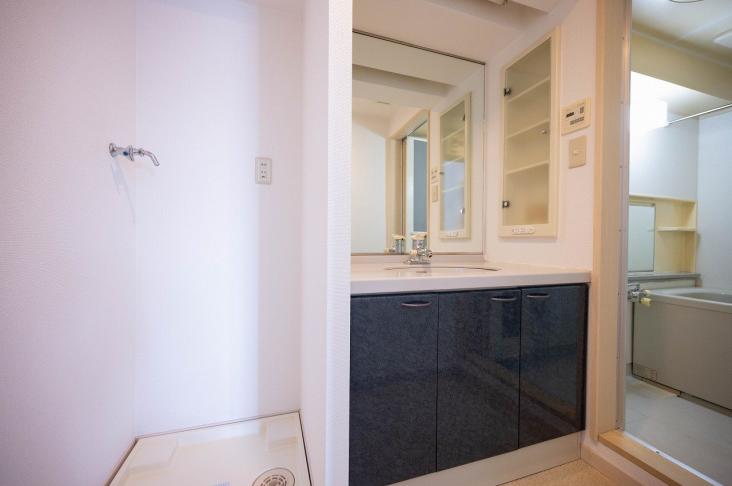 エクセルシオール新宿西戸山-18-洗面