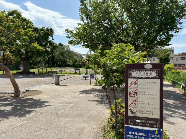 レジデンシャルスター三軒茶屋-33-公園