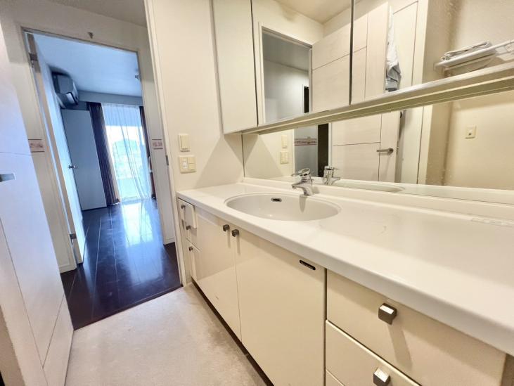 サーパス芦花公園-13-洗面