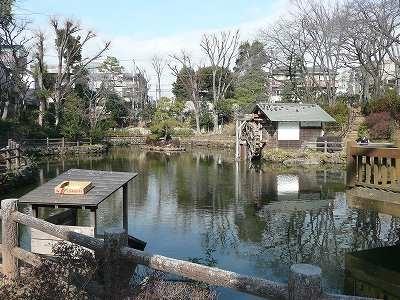 ディアナコート上原-26-公園