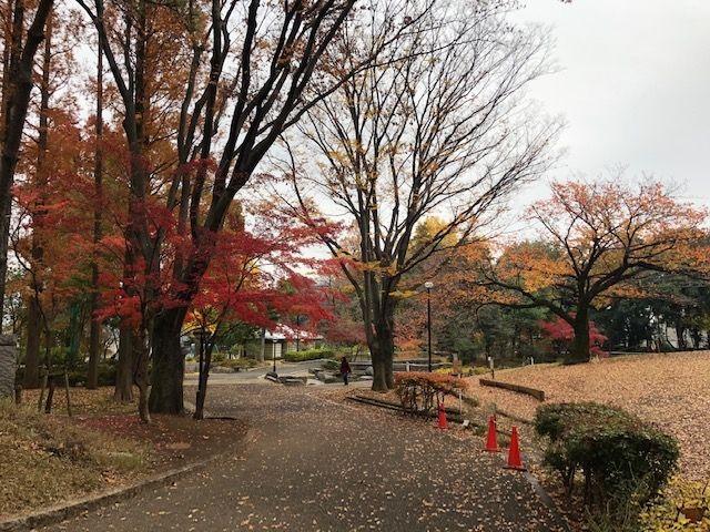ハイマンションWEST高円寺-24-公園