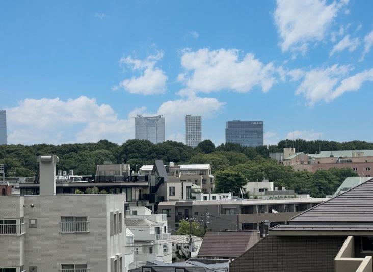 藤和シティホームズ代々木Ⅱ-15-眺望