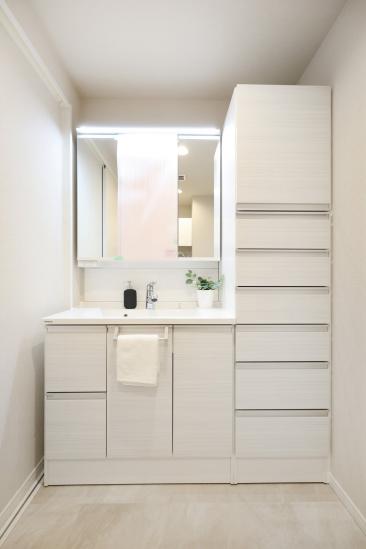 リブゼ横浜サザンテラス-8-洗面