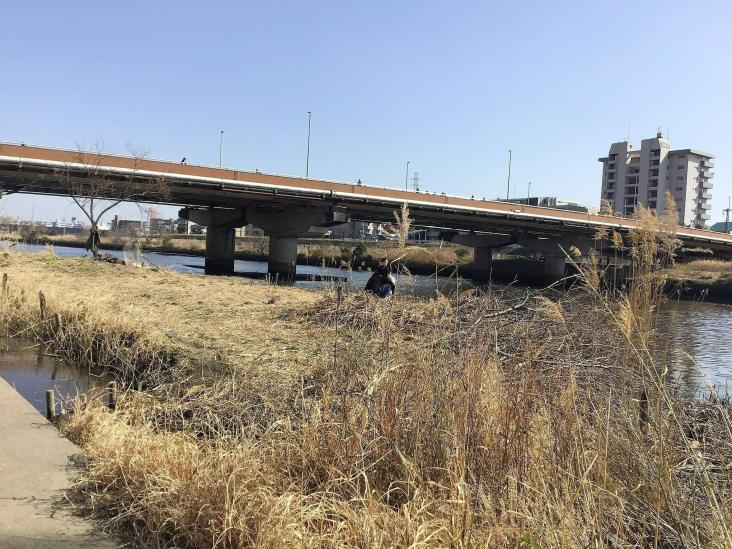 ザ・ハウス港北綱島-52-周辺の街並み